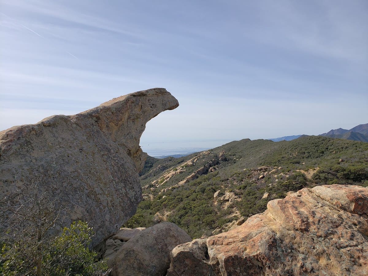 Lizard's Mouth