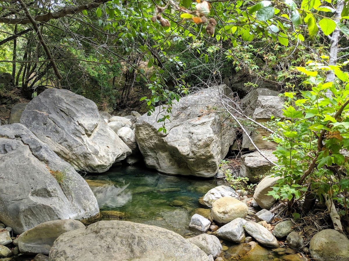 Arroyo Hondo Preserve, Docent-Led Guided Hike